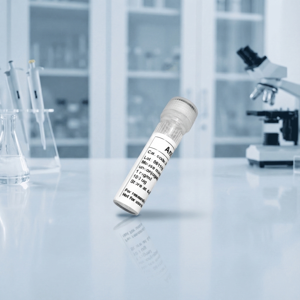 Anti Human HSP70