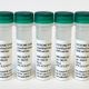 Lyophilized EV-like nanoparticles (ELNs) from plants 