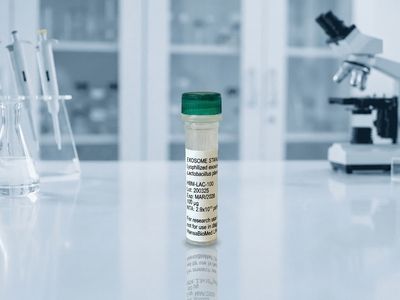 Lyophilized Bacterial EVs Derived from Lactobacillus (100µg vial)