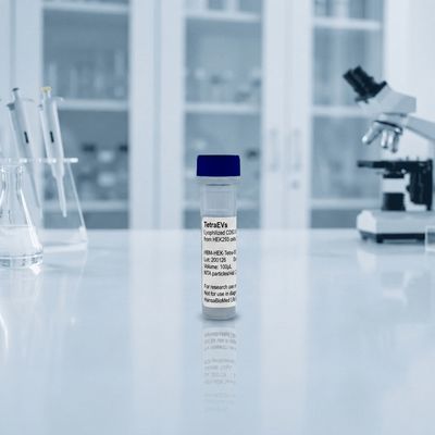 Engineered EVs from HEK293 cells overexpressing CD63 (100µL vial)