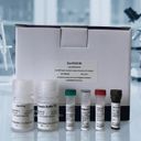 Exo-FACS Ready to Use Kit