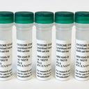  Fluorescent Labeled Exosome Standards