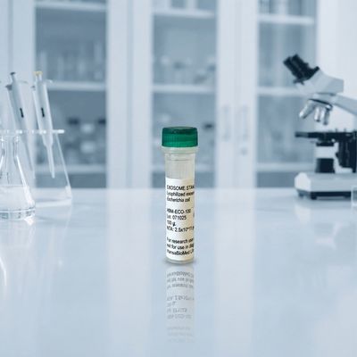 Lyophilized Bacterial EVs Derived from E. Coli (100µg vial)