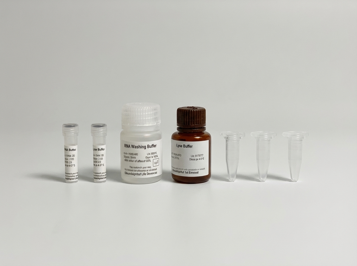 EV RNA Isolation