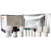 ExoTEST for Tumor-derived Exosome enrichment and quantification from human plasma (transparent plate) ExoTEST for Tumor-derived Exosome enrichment and quantification from human plasma (transparent plate)